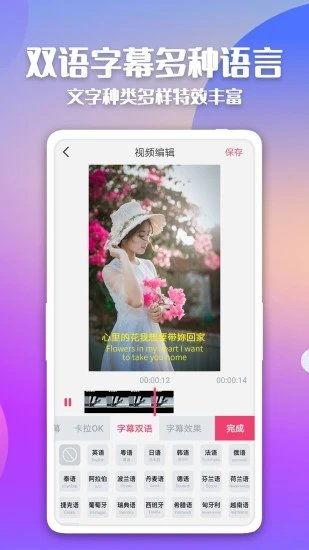 日韩理论视频中文字幕,文化交融与思维碰撞
